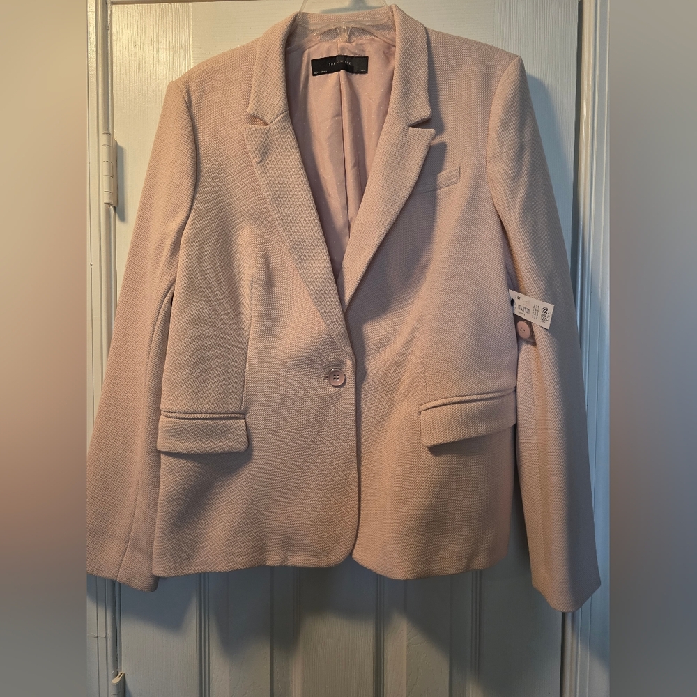 The Limited Light Pink Blazer